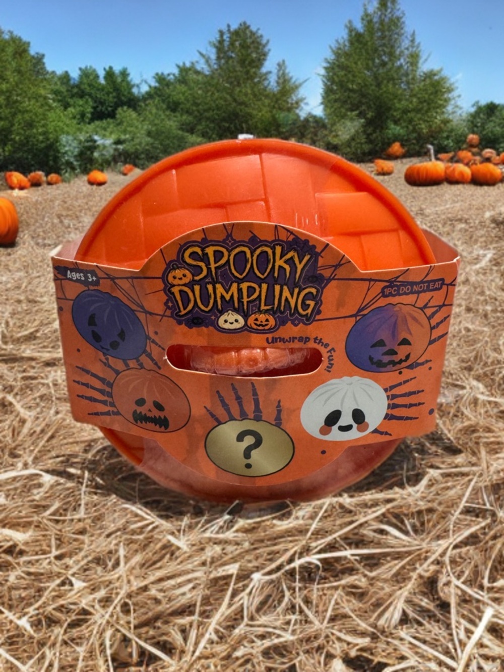 MYSTERY SPOOKY DUMPLING!